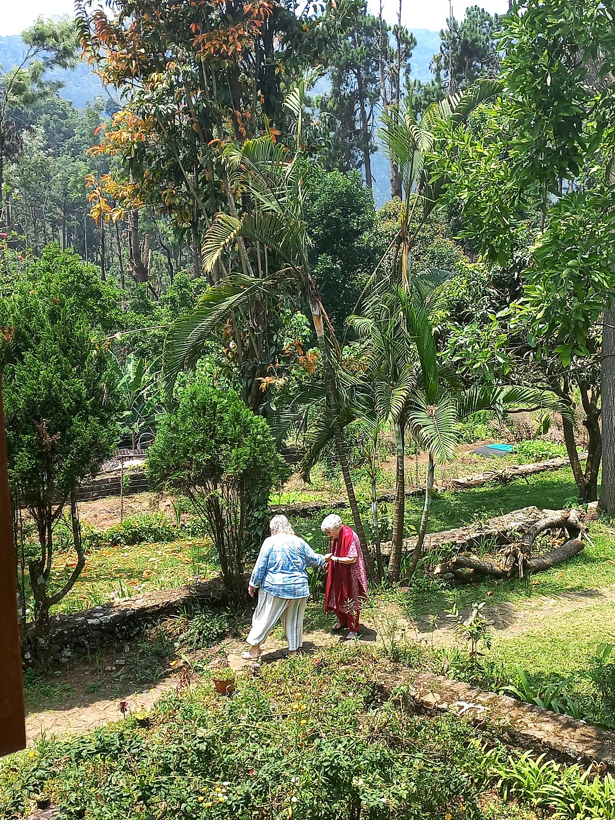 Meditators take a walk in the garden